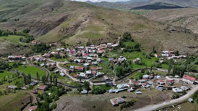 Türk ve Japon bilim adamları kenelerle ilgili çalışma başlattı!