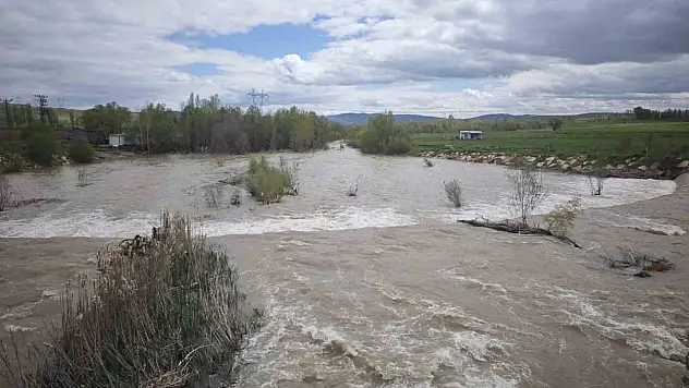 Türkiye'nin en uzun nehri Kızılırmak'ı besleyen Yıldız Irmağı görenleri sevindirdi!