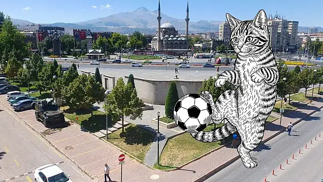 Türkiye'nin gözü Kayseri'de! Develi'deki çevik kedi antrenmanı bile solladı