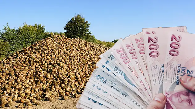 TÜRKŞEKER fiyatı açıkladı! Şimdi gözler Kayseri Şeker'de...