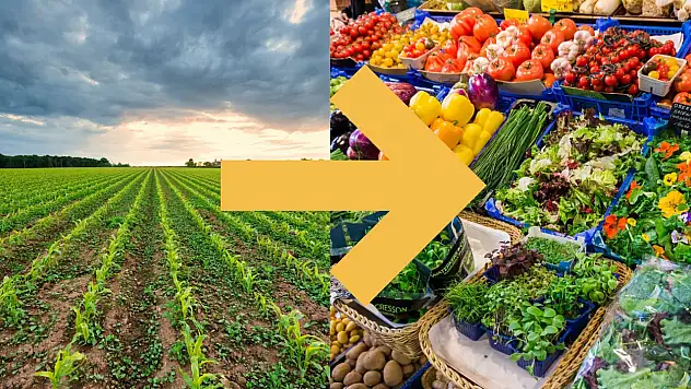 TZOB raporu şok etti: Üretici ile market arasındaki fiyat makası katlandı