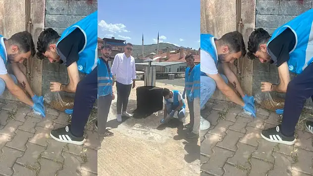 Ülkü Ocakları'ndan sessiz dostlara destek seferberliği!