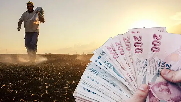 Üreticilere büyük müjde: TMO ödemeleri açıkladı!