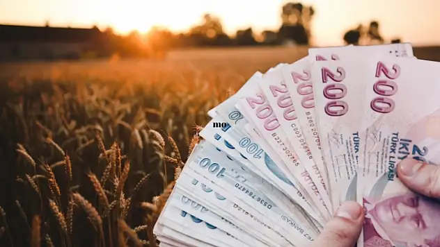 Üreticiye büyük destek: Hesaplara para yatıyor, ödemeler sürüyor!
