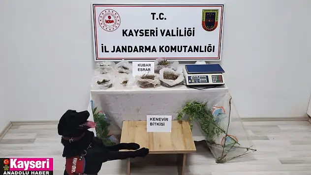 Uyuşturucu operasyonunda 1 şüpheli yakalandı