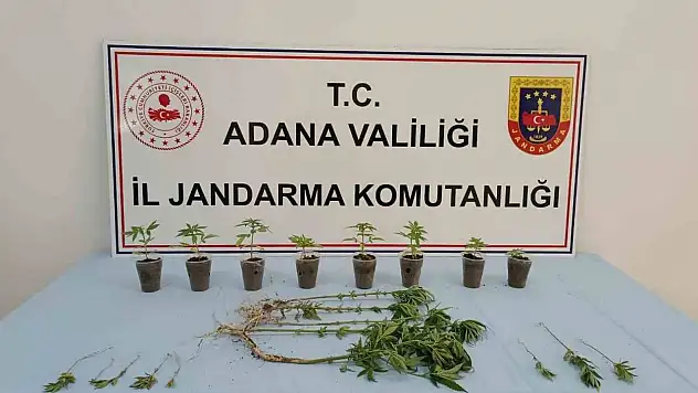 Uyuşturucu operasyonunda 7 şüpheli yakalandı