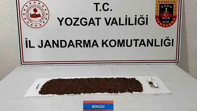 90 gram bonzai ile yakalandı