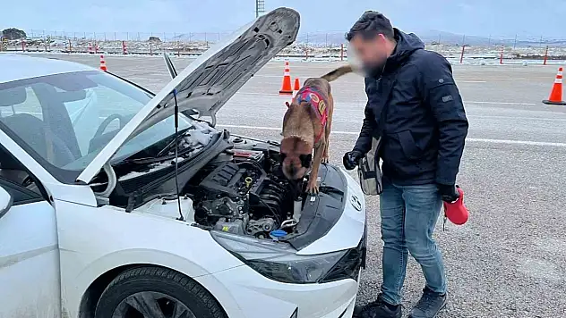 Nevşehir'de uyuşturucu tacirleri, narkotik köpeğinden kaçamadı