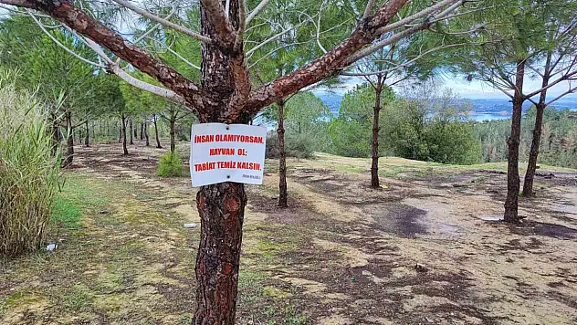 Ağaca asılı not dikkat çekti ama yetmedi