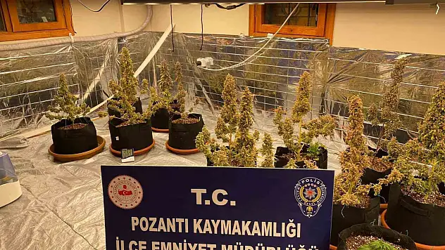 Villada uyuşturucu yetiştirmişler!