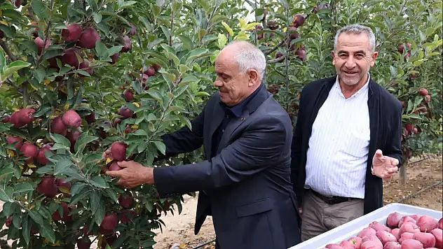 Yahyalı'da hasat zamanı! Başkan Öztürk sahaya indi