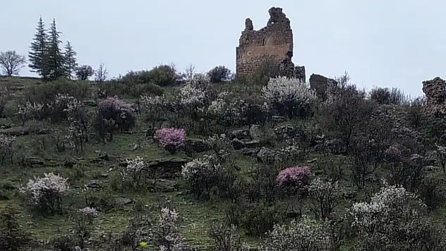 Yahyalı'da tarihi kale ve surları doğasıyla dikkat çekiyor
