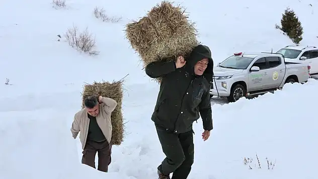 Yahyalı'da yaban hayvanları için doğaya ot ve yem bırakıldı