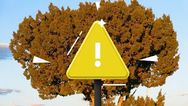 Yahyalı'daki gizemli türbe: Kanlı ardıç efsanesi hâlâ yaşıyor!