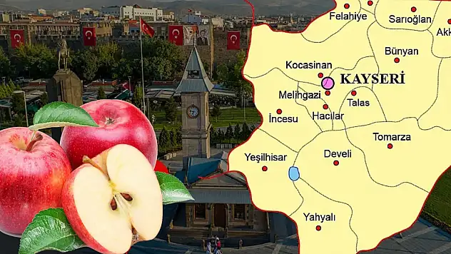 Yahyalı, Develi ve Yeşilhisar... Yöresel elmalar tek noktada: Ünlü şef de geliyor!