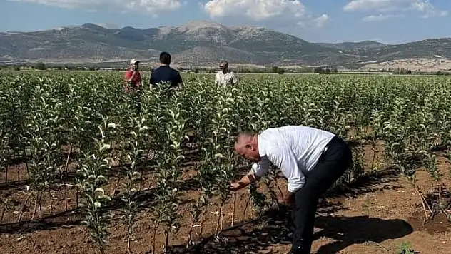 Yahyalı tarımı için tarihi adım! O fidanlar ilçeye geliyor!