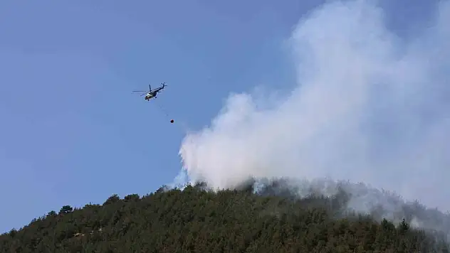 Yakılan anız, orman yangınına neden oldu: Müdahale sürüyor
