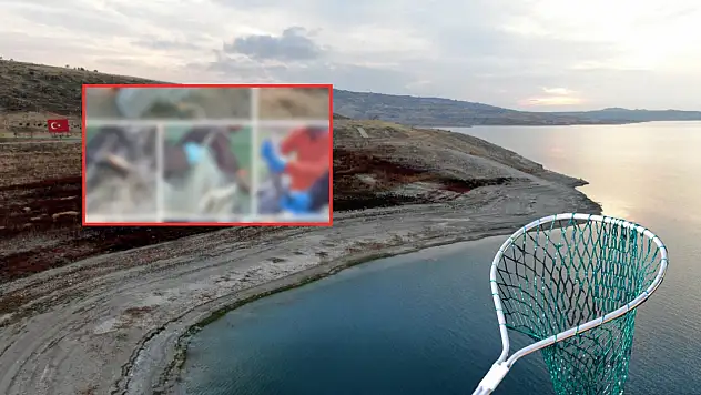 Yamula Barajı'nda yakalandı: Bin metre uzunluğunda...