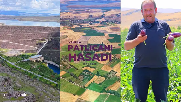 Yamula Barajı, Yamula Patlıcanının can suyu oldu: DSİ, Kayseri'yi gündeme taşıdı!