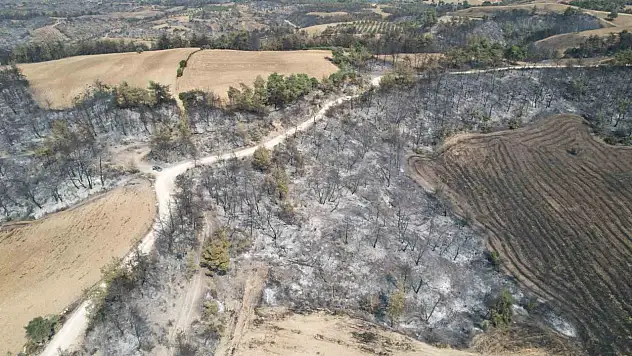 Yangın sonrası acı manzara: 'Canımızı zor kurtardık'