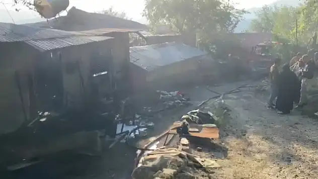 Yangın yayla evinden ormana sıçradı