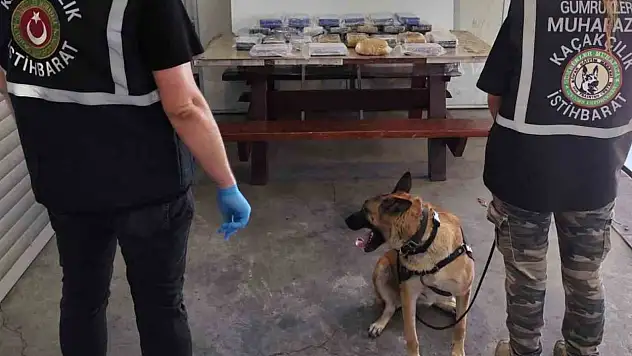 Yılın ilk ayında 1,7 milyar liralık uyuşturucu yakaladı