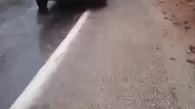 4 öğretmene mezar olan Tırtat mevkiinde kayalar düşmeye devam ediyor!