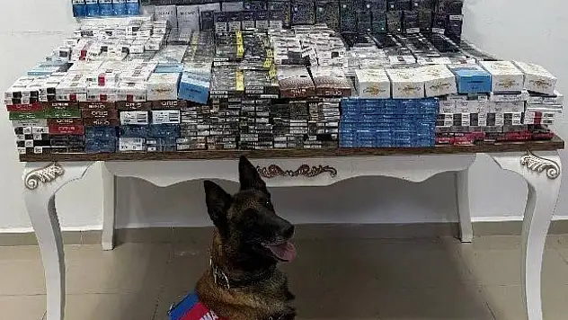 Denetimlerde 3 bin 606 paket kaçak sigara yakalandı!