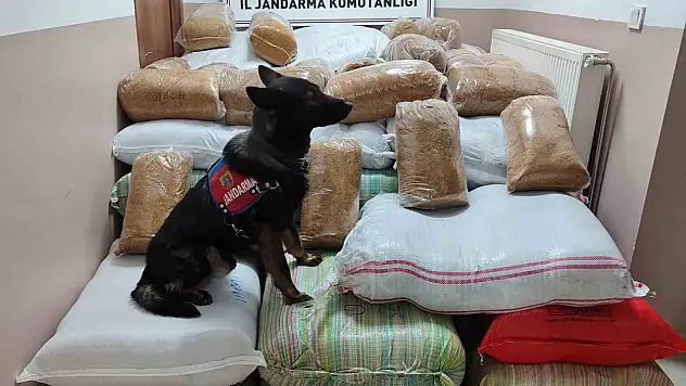 Kayseri'de yolcu otobüslerinde 1,5 ton kaçak tütün ele geçirildi