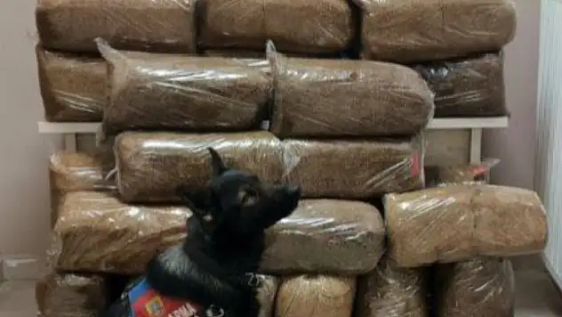 Yolcu otobüsüne operasyon!-Kaçak tütün ele geçirildi