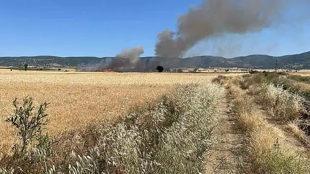 20 dönüm ekili alan kül oldu!