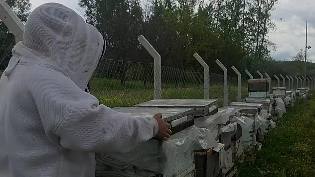 Yozgat'ta hobi olarak 5 kovanla başladı, zamanla 250 kovana çıkardı