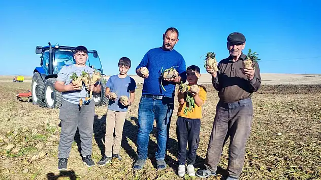 Pancar mesaisi sürüyor, 6 aylık emeğin ürünleri yüzleri güldürüyor