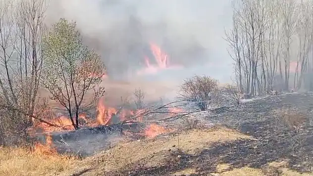 Yozgat'ta peş peşe çıkan yangın çıktı!
