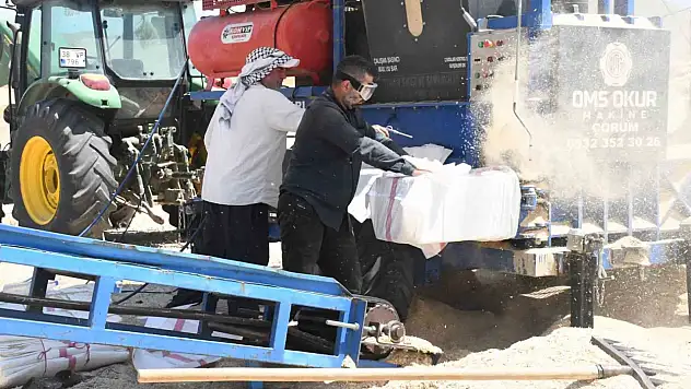 Aylarca evlerinden uzaktalar! Tarlalarda başlayan zorlu yolculuk