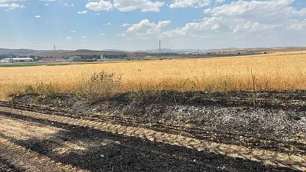 Yozgat'ta korkutan yangın! Alevler 10 dönüm araziyi yok etti