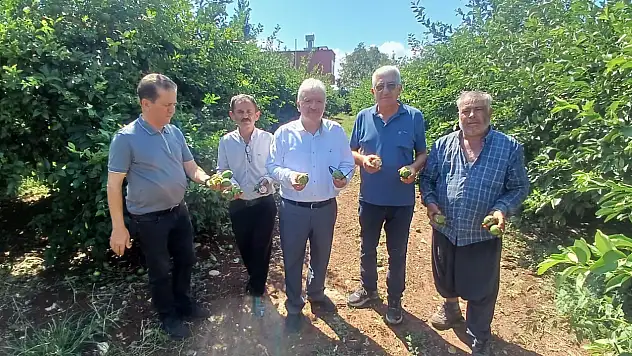 Dolu Yüreğir'i vurdu: 35 bin dönüm tarım alanı zarar gördü