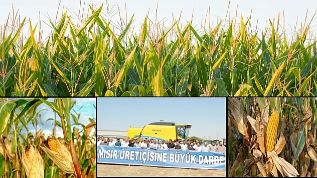 Yurt dışından ithale sıfır gümrük!