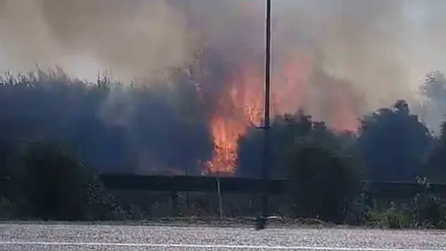 Adana'da sazlıkta çıkan büyümeden söndürüldü!