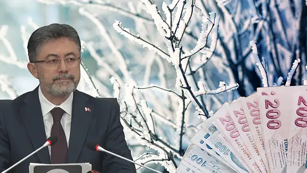 Zirai donun ardından yaralar sarılıyor: Milyarlarca TL değerinde destekleme ödemesi hesaplarda...