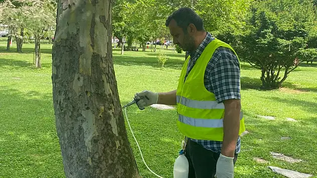 Büyükşehir Belediyesi'nden çevreci mücadele!