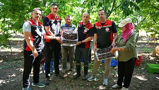Bülent Saklav kiraz hasadına katıldı