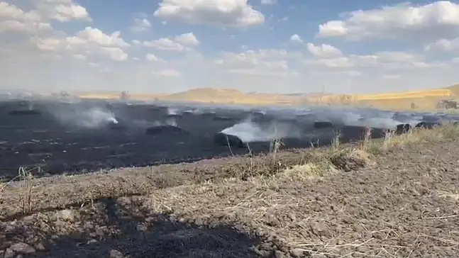 Örtü yangını tarım arazilerine sıçradı