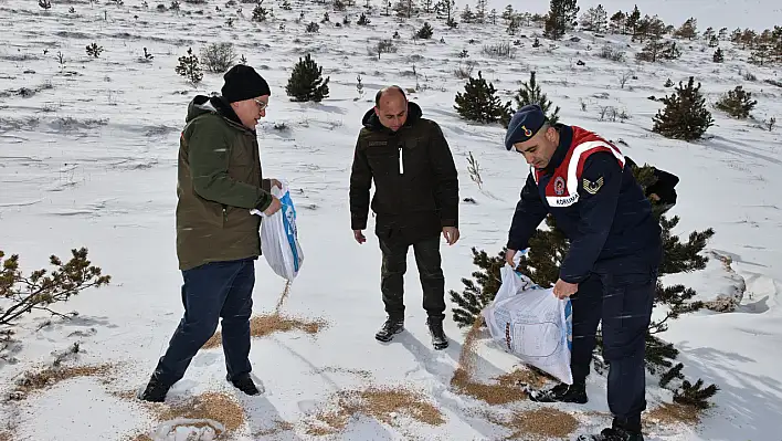 12 ton yem doğaya bırakıldı!