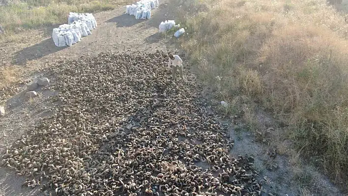 Sivas bıçağının olmazsa olmazı kurutulmaya bırakıldı!