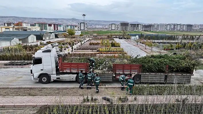 2026 Ağaçlandırma rekoru yolda: Kayseri yeşilin başkenti olacak!