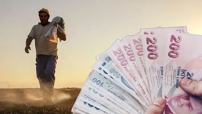 2026 tarım destekleri yayımlandı: Çiftçinin yüzü gülecek