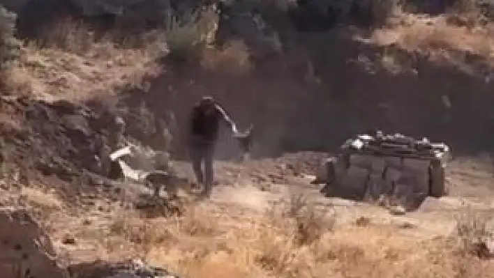 Valilik açıkladı: 4 aylık köpeğe şiddet uygulayan şahıs gözaltında!