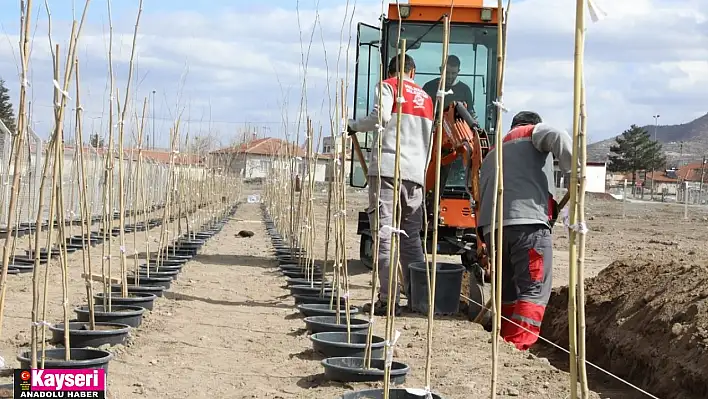 Melikgazi'ye 4 bin 500 fidan