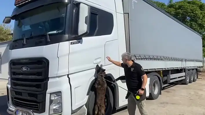 Adana'da narkotik operasyonu: Tırdan 80 milyonluk skunk çıktı!